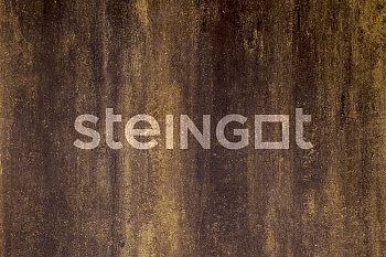 ���������� ������ Steingot �������� ���� "����� ���� Safari �11"